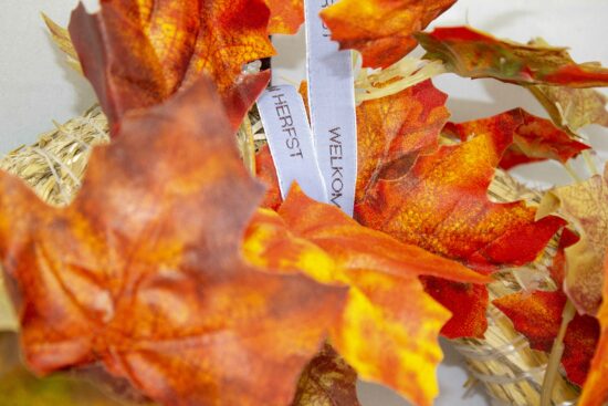 Herbstkranz decorieren