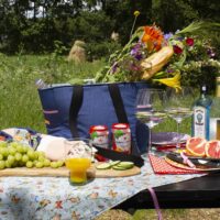 Picknick in der Natur